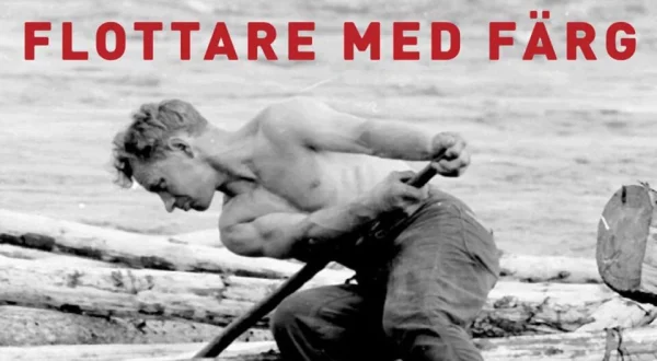 Flottare med färg