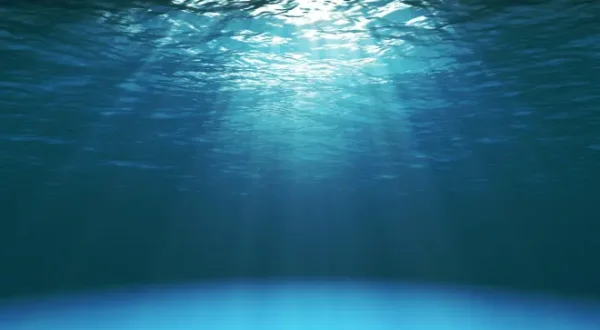 Le gouf, un trésor de biodiversité