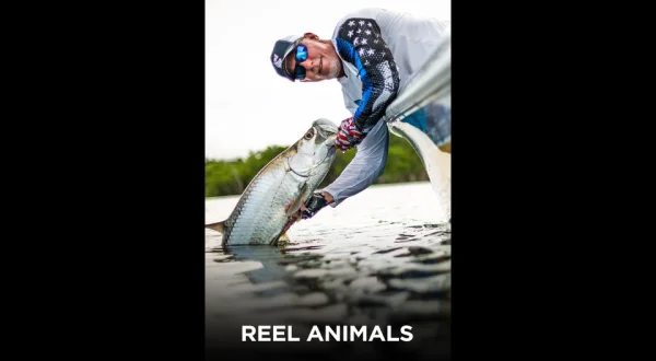 Reel Animals