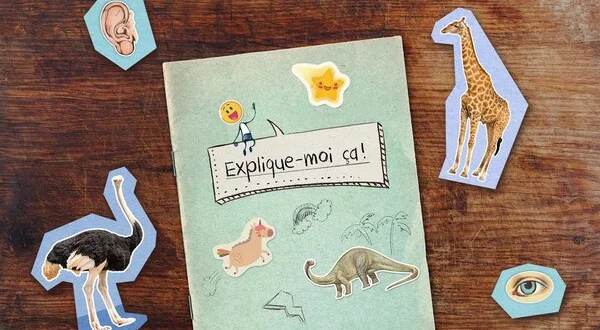 Explique-moi ça