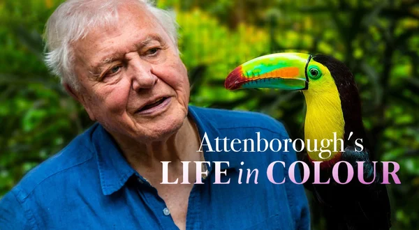 Attenborough's Life in Colour