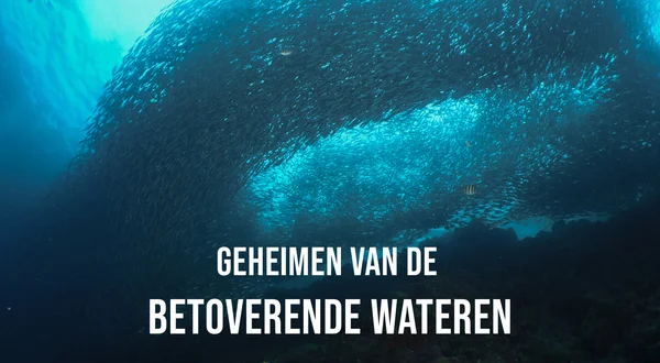 Geheimen van de Betoverende Wateren