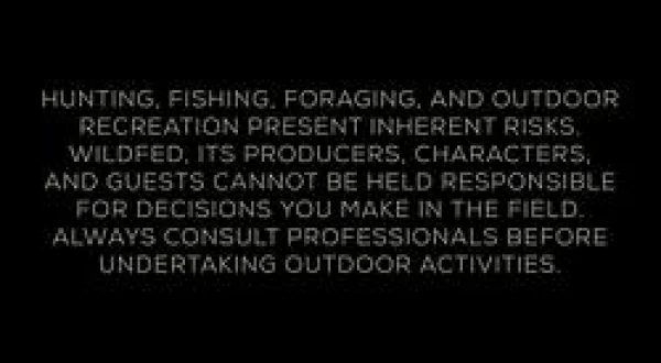 Wild Fed S1 EP7 - Brook Trout & Mill Weed Flowers