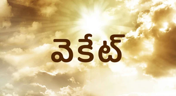 వెకేట్