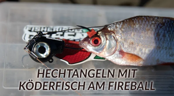 Hechtangeln mit Köderfisch am Fireball
