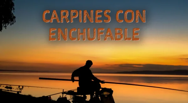 Carpines con enchufable