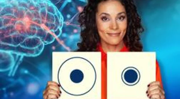 Quarks im Ersten