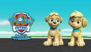 Paw Patrol, la Pat'Patrouille