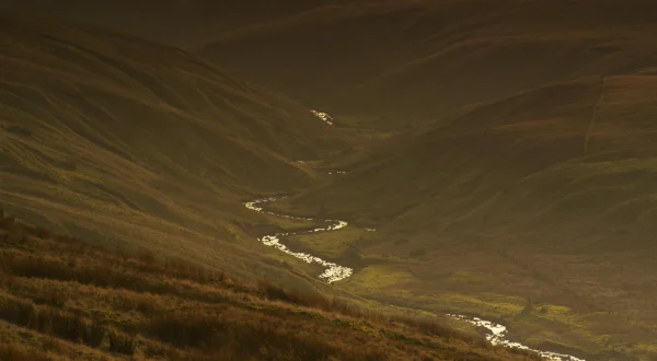 Yorkshire: Ein Jahr in der Wildnis