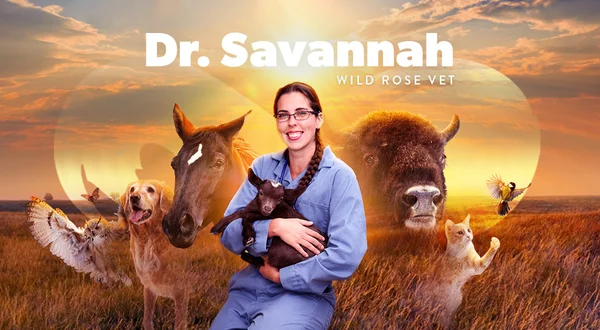 Dr. Savannah: Wild Rose Vet