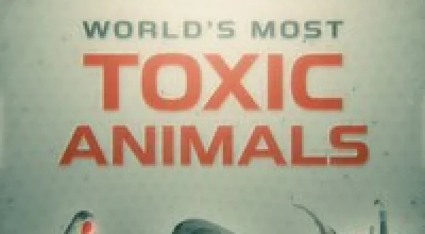World's Most Toxic Animals