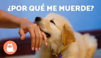 ¿Qué hacer en estas situaciones?