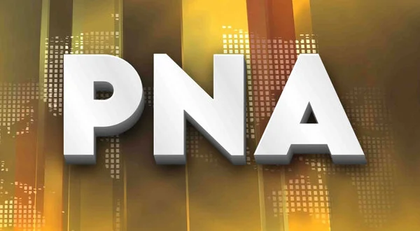 Pna