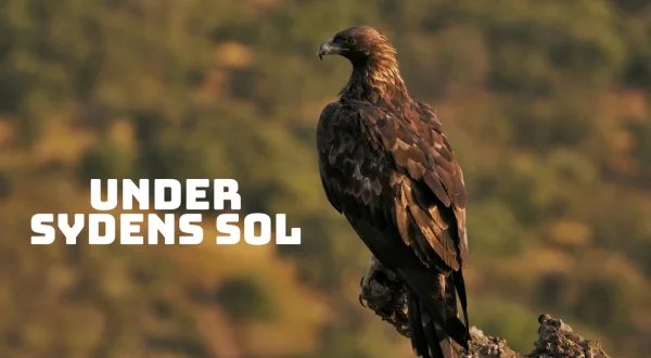 Under sydens sol