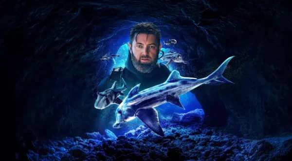 Alien Sharks - Australiens giftige Haie