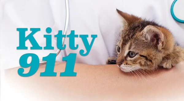 Kitty 911