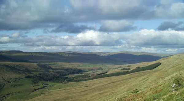 Yorkshire: Ein Jahr in der Wildnis