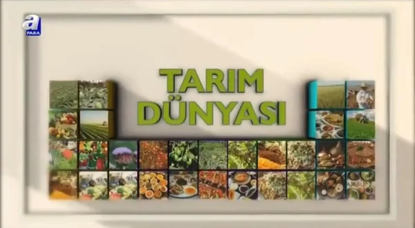 Tarım Dünyası