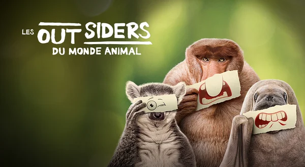 Les outsiders du monde animal