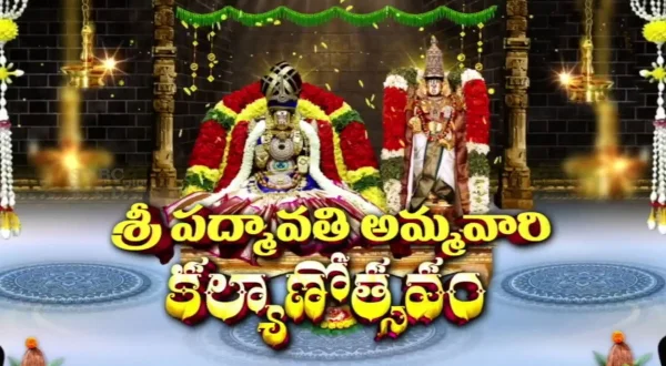 ஸ்ரீ பத்மாவதி அம்மாவாரி கல்யாணம் லைவ்