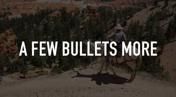 A Few Bullets More