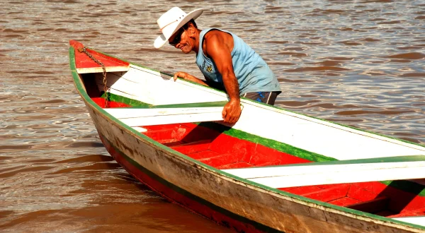 Der Amazonas