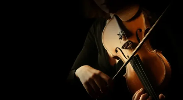 Violin Sonata No. 5 'Spring' - Allegro