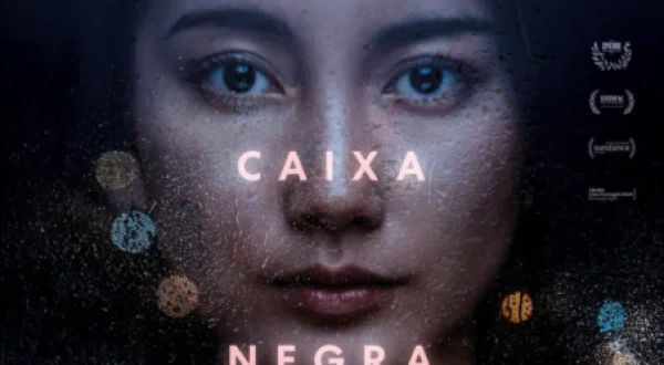 Diários da Caixa Negra