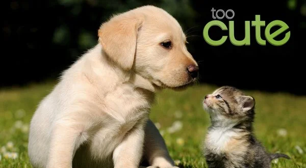 Too Cute!