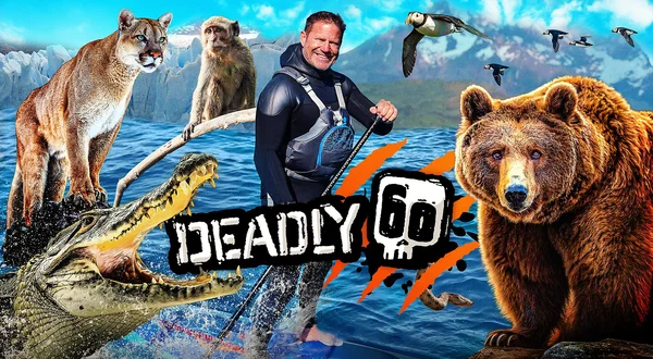 Deadly 60