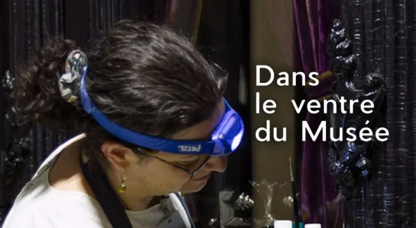 Dans le ventre du musée