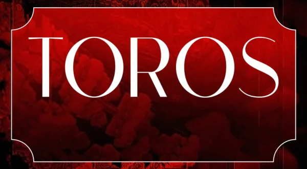 Toros