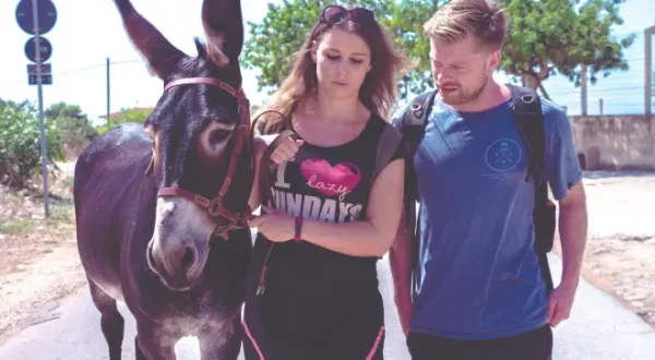 Travel With a Goat