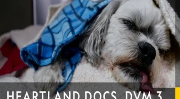 Heartland Docs, DVM