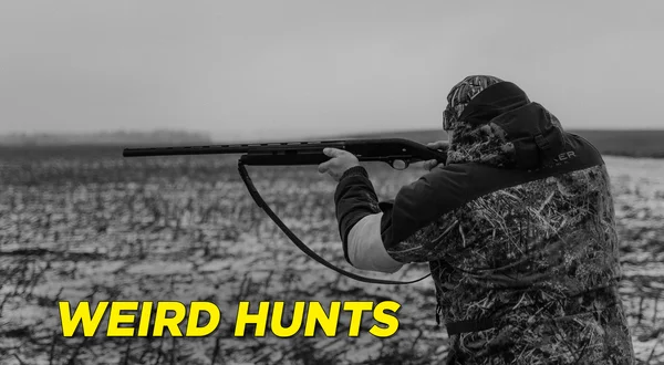 Weird Hunts