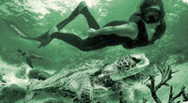 Deep Dive Australia