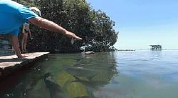 Belize Fishing