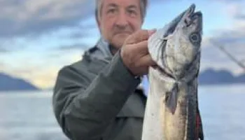 Les globe-pêcheurs en Norvège