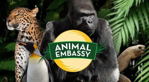 Animal Embassy