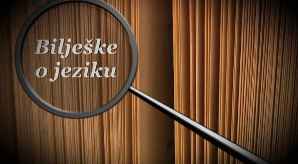 Bilješke o jeziku