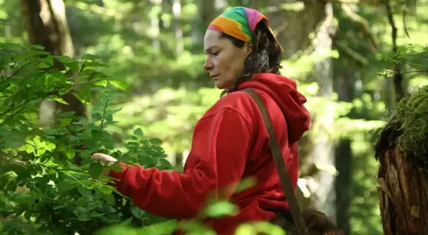Alaska : seuls au monde