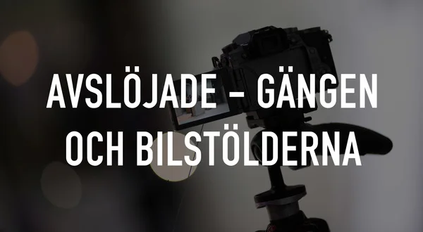 Avslöjade - gängen och bilstölderna