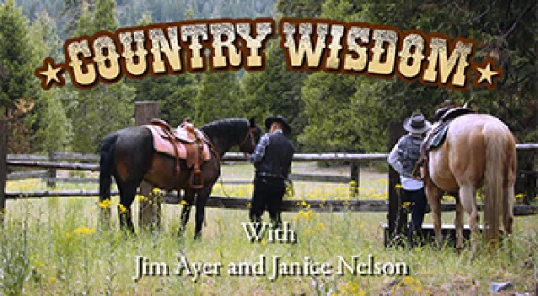 Country Wisdom