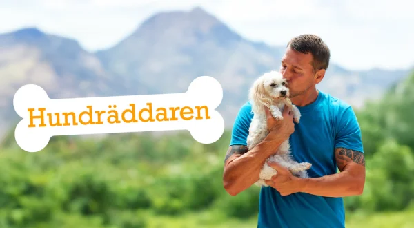 Hundräddaren