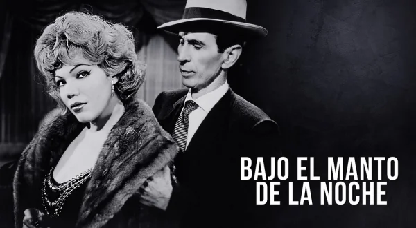 Bajo el manto de la noche