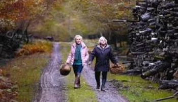 Quand vient l'automne