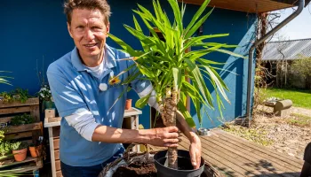 Rasch durch den Garten