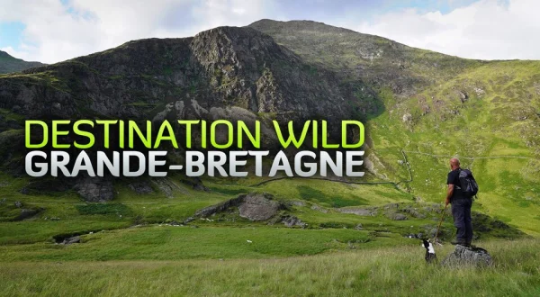 Destination Wild : Grande-Bretagne