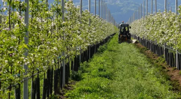 Agrinet: Il futuro in campo