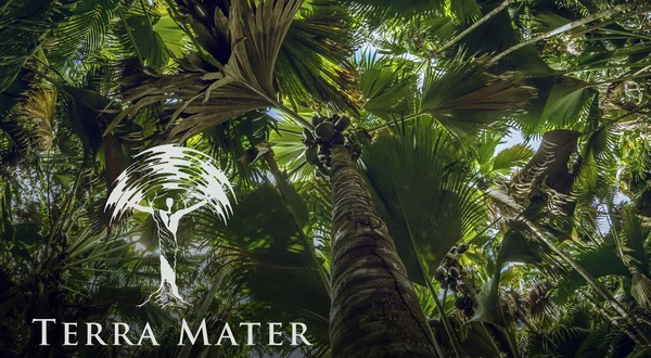 Terra Mater